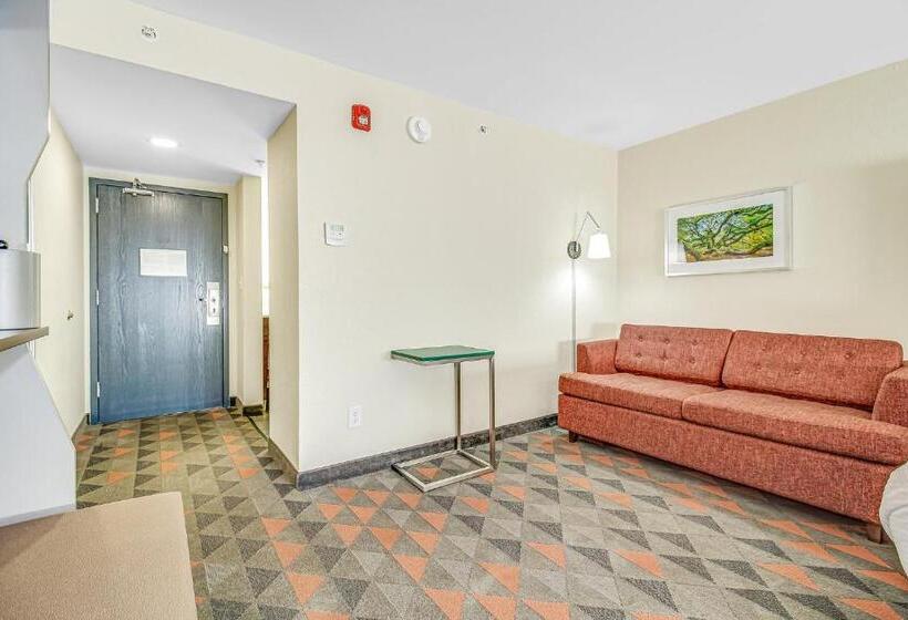 חדר סטנדרט, Holiday Inn Spartanburg Northwest