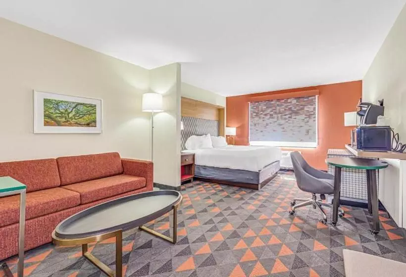 身障者適用キングサイズベッドルーム, Holiday Inn Spartanburg Northwest