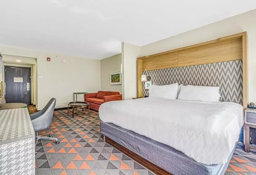 身障者適用キングサイズベッドルーム, Holiday Inn Spartanburg Northwest