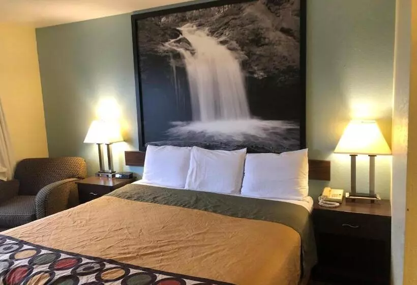 キングサイズベッドのスタンダードルーム, Super 8 By Wyndham Plover Stevens Point Area