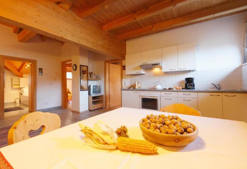 Апартаменты 2 Спальни, Chalet & Appartement Zingerlehof Trens