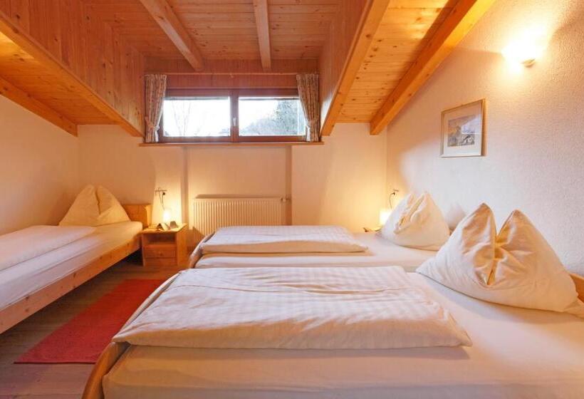 Апартаменты 2 Спальни, Chalet & Appartement Zingerlehof Trens