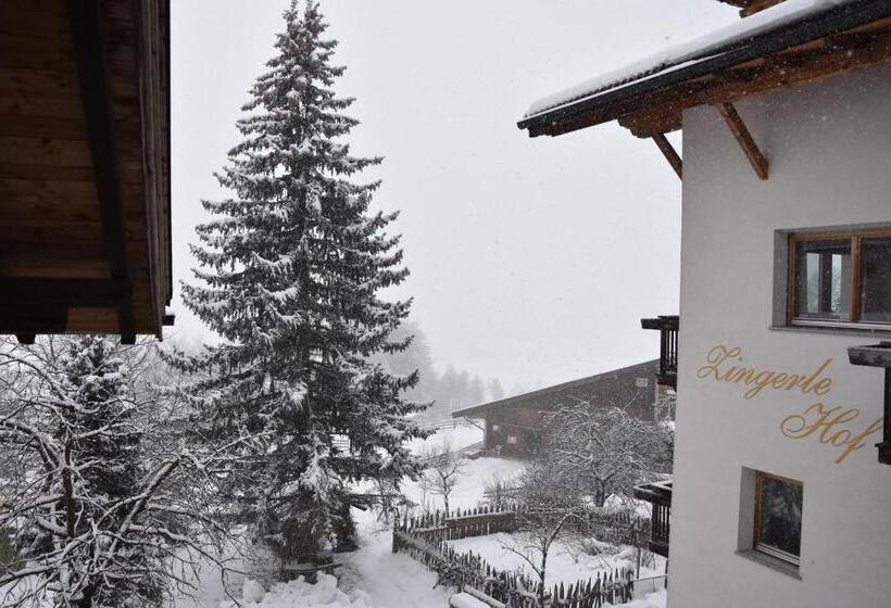 דירת 2 חדרי שינה עם נוף לגינה, Chalet & Appartement Zingerlehof Trens