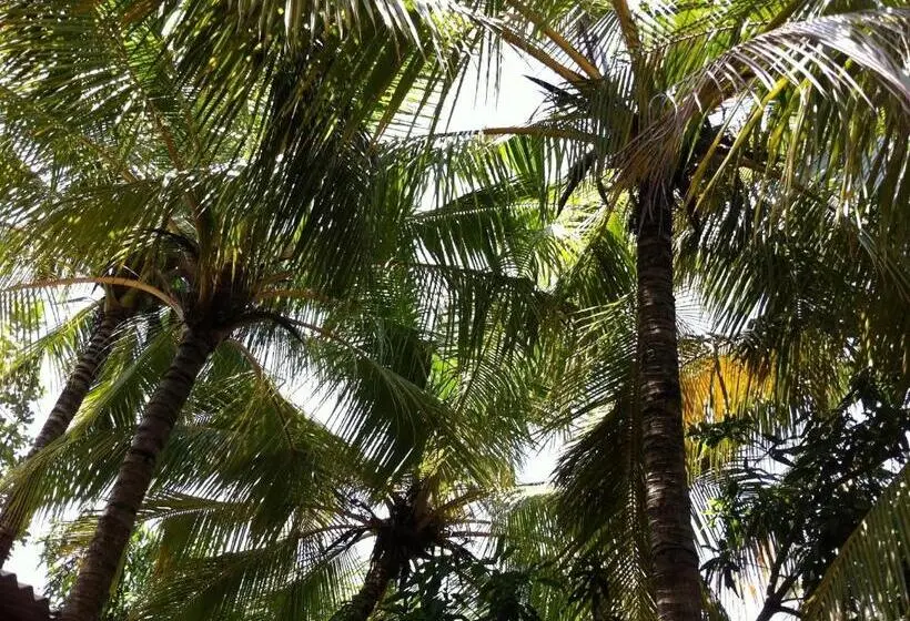 Economy-huone, Robert Inn Dambulla