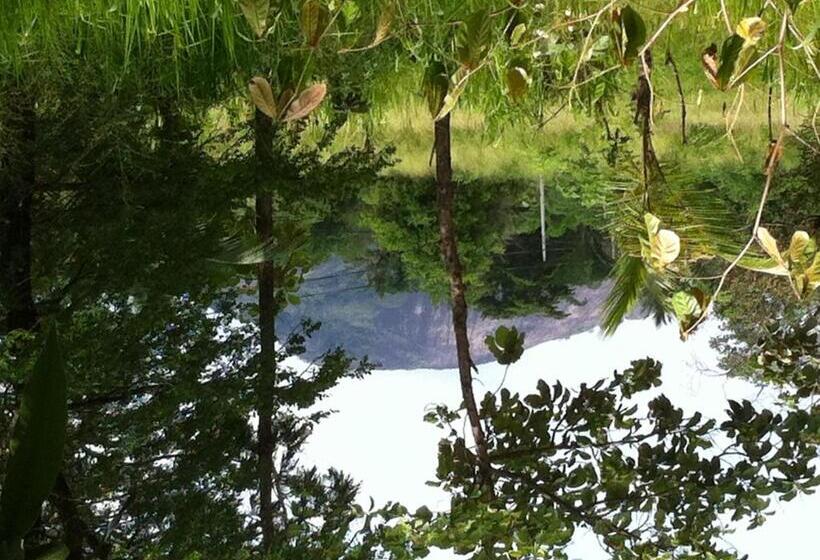 Номер Economy Индивидуальный, Robert Inn Dambulla