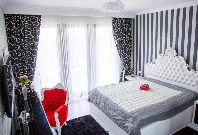 غرفة أساسية, Pensiunea Primaverii