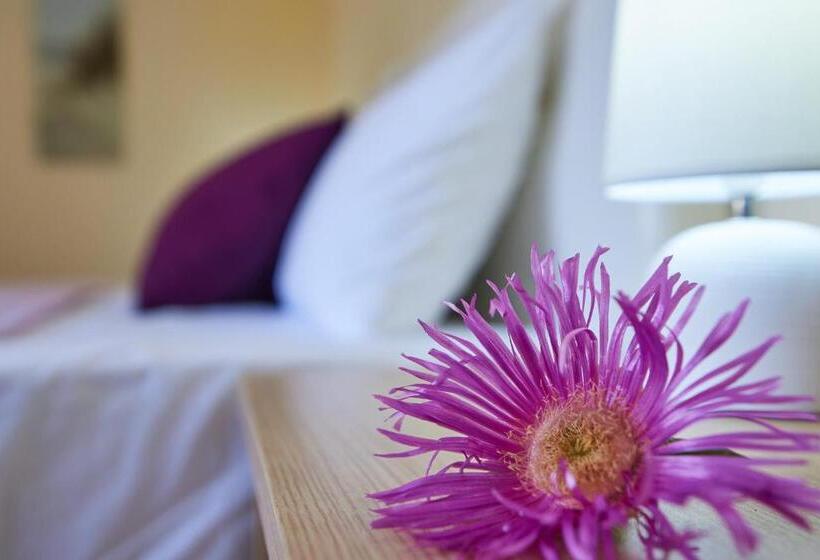 דירת שני חדרים, Caretta Village