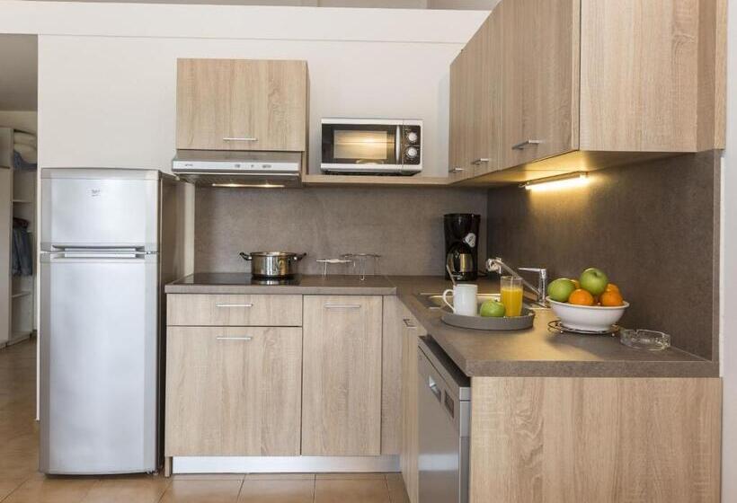 Апартаменты 1 Спальня, Résidence Odalys Stella Di L Aria