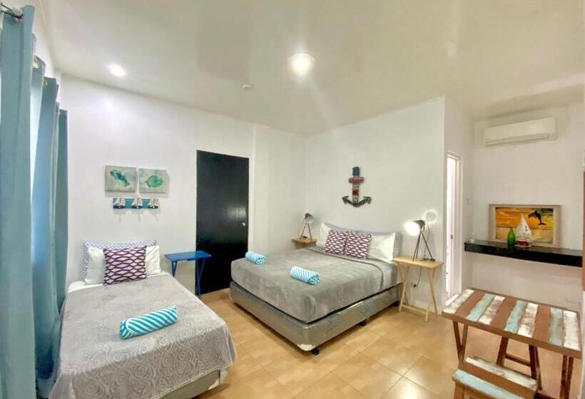 חדר סטנדרט, Saltitude Dive & Beach Resort