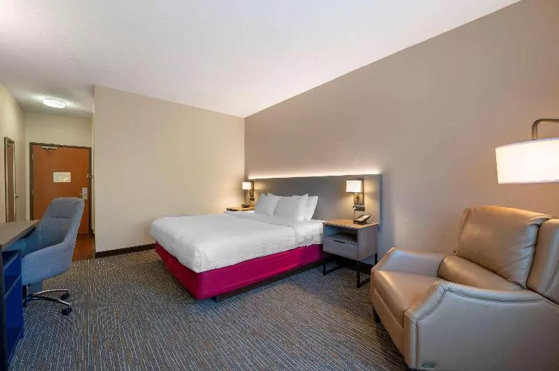 キングサイズベッドのスタンダードルーム, Comfort Inn & Suites