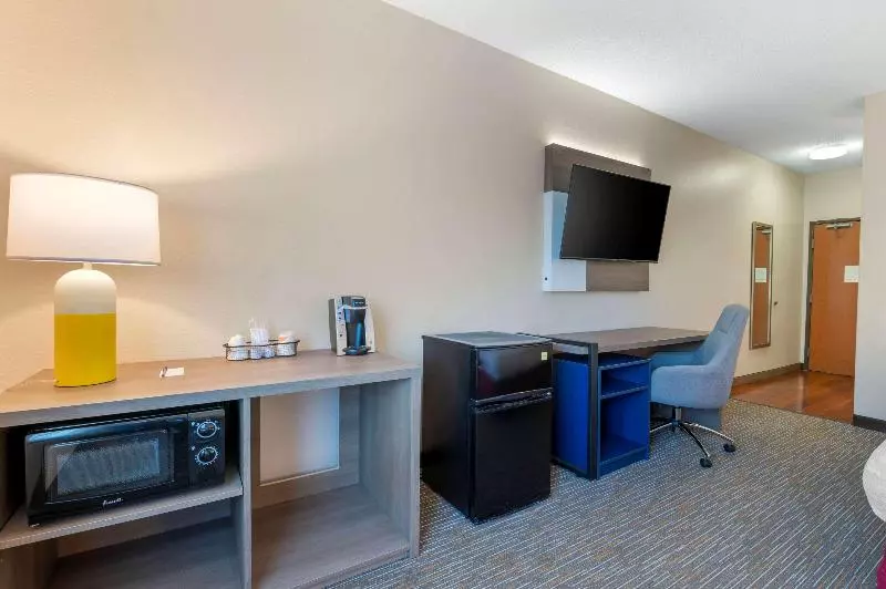 キングサイズベッドのスタンダードルーム, Comfort Inn & Suites