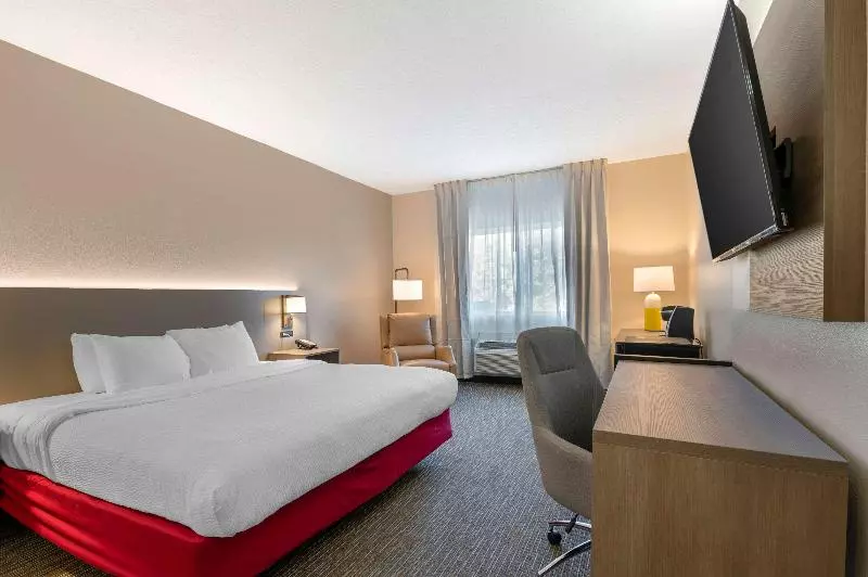 キングサイズベッドのスタンダードルーム, Comfort Inn & Suites