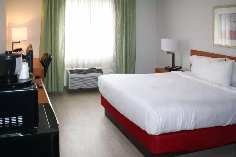 キングサイズベッドのスタンダードルーム, Comfort Inn & Suites
