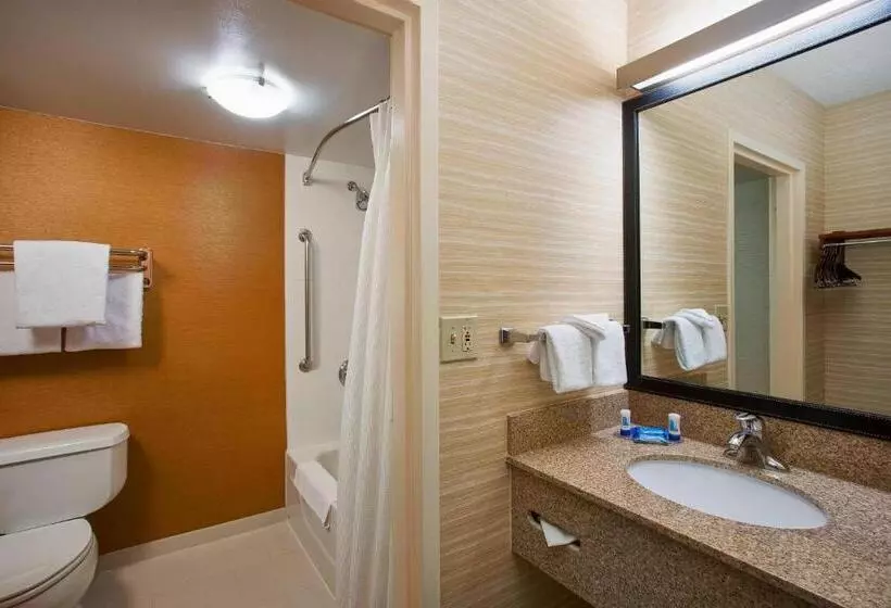キングサイズベッドのジュニアスイート, Fairfield Inn & Suites Chicago Midway Airport