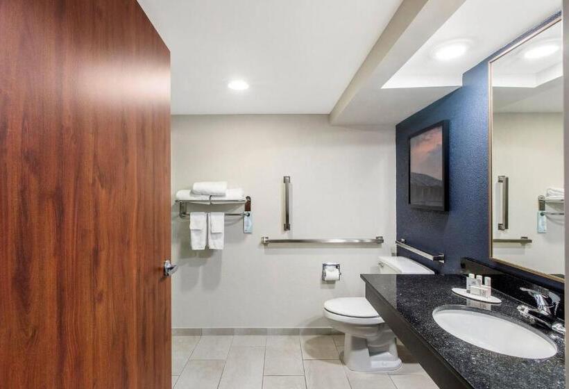 キングサイズベッドのスタンダードルーム, Fairfield Inn By Marriott Evansville East