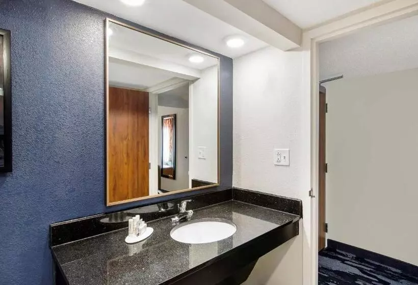 キングサイズベッドのスタンダードルーム, Fairfield Inn By Marriott Evansville East