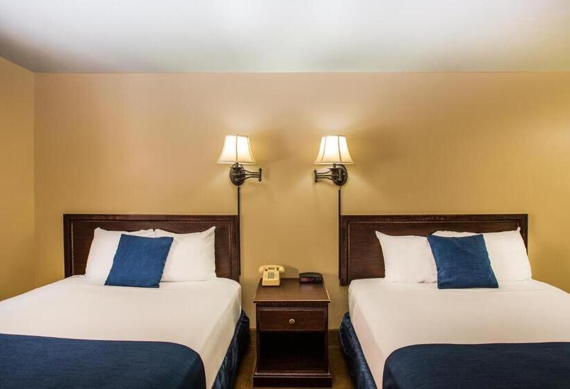 Номер Стандарт, First Gold Gaming Resort