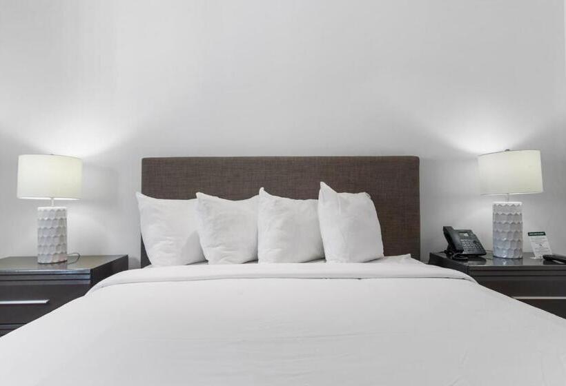 豪华两卧套房, Fortune House Hotel Suites