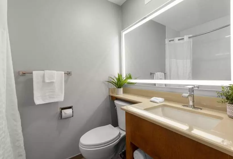 デラックスルーム, Good Nite Inn Redwood City   San Francisco Airport