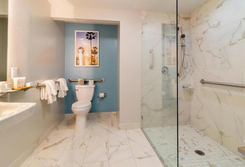 适合残疾人使用的标准间, Radisson Resort Miami Beach