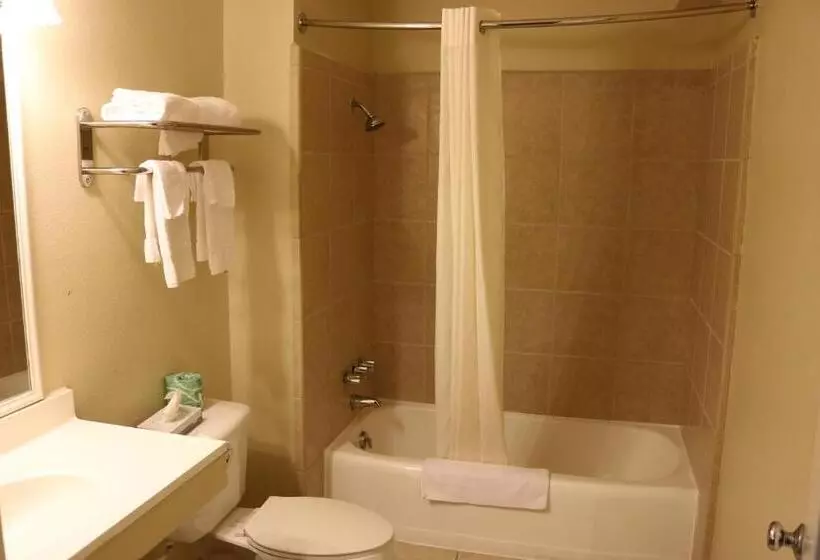 キングサイズベッドのスタンダードルーム, Americas Best Value Inn Giddings