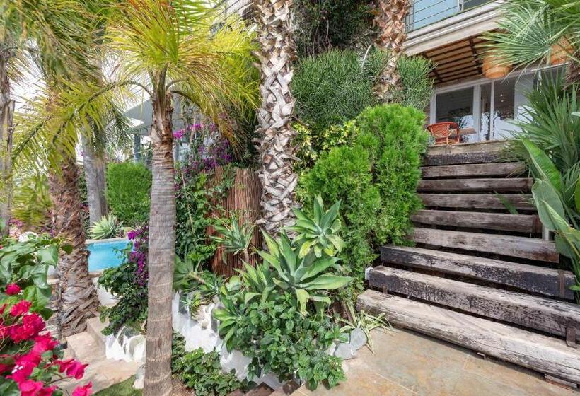 סוויטת דלוקס נוף לים, Condesa Del Mar Adults Only