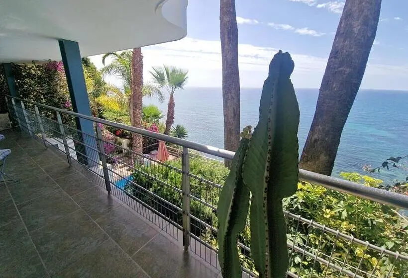 オーシャンビューバルコニー付きワンベッドルームアパートメント, Condesa Del Mar Adults Only