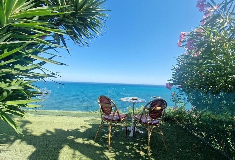 סוויטת ג'וניור עם טרסה, Condesa Del Mar Adults Only