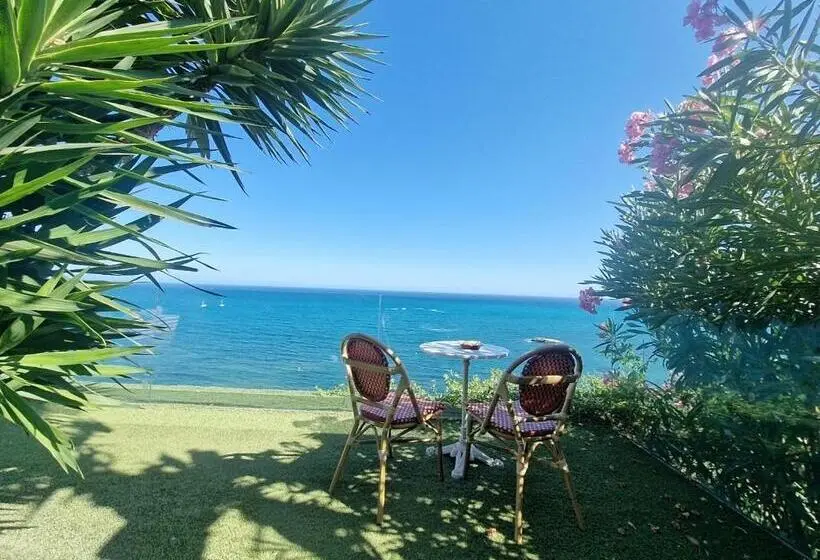 テラス付きジュニアスイート, Condesa Del Mar Adults Only