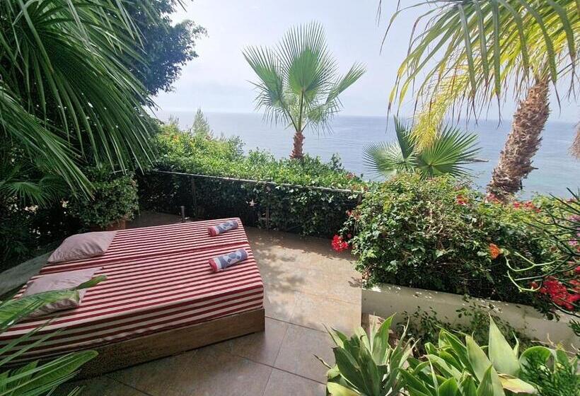 סוויטת דלוקס נוף לים, Condesa Del Mar Adults Only