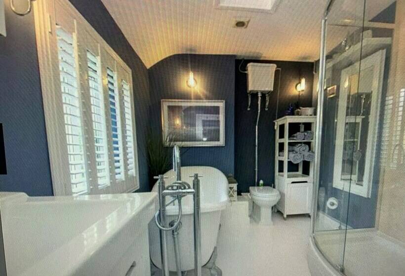 デラックスの４人部屋, Bryn Ceiriog