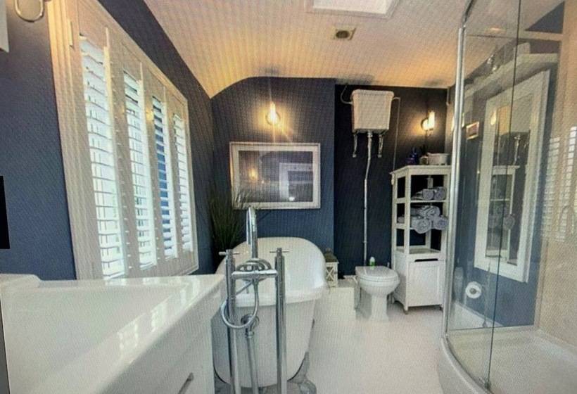 デラックスの４人部屋, Bryn Ceiriog