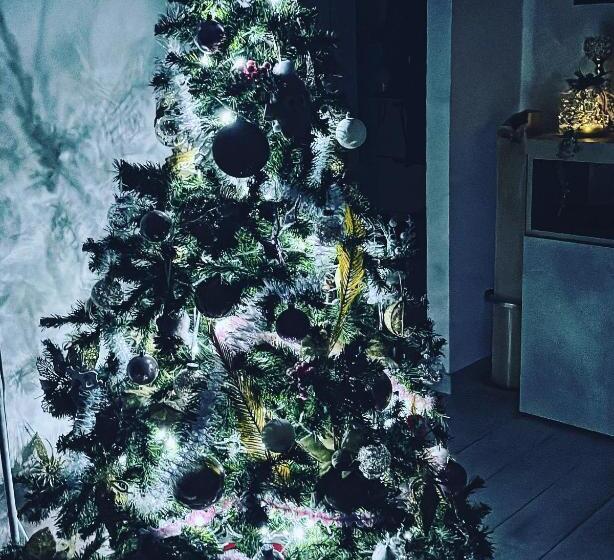 スタンダードトリプルルーム, Dea Della Salute