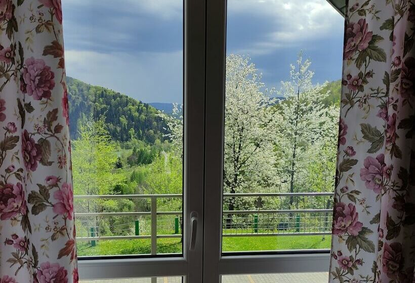 Номер Стандарт Двуспальная Кровать, Brzozowe Wzgorze