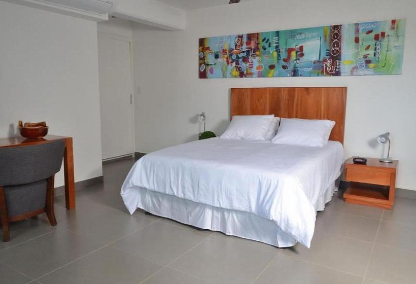 استودیوی استاندارد, 中国人之家公寓酒店apart Hotel Casa De China