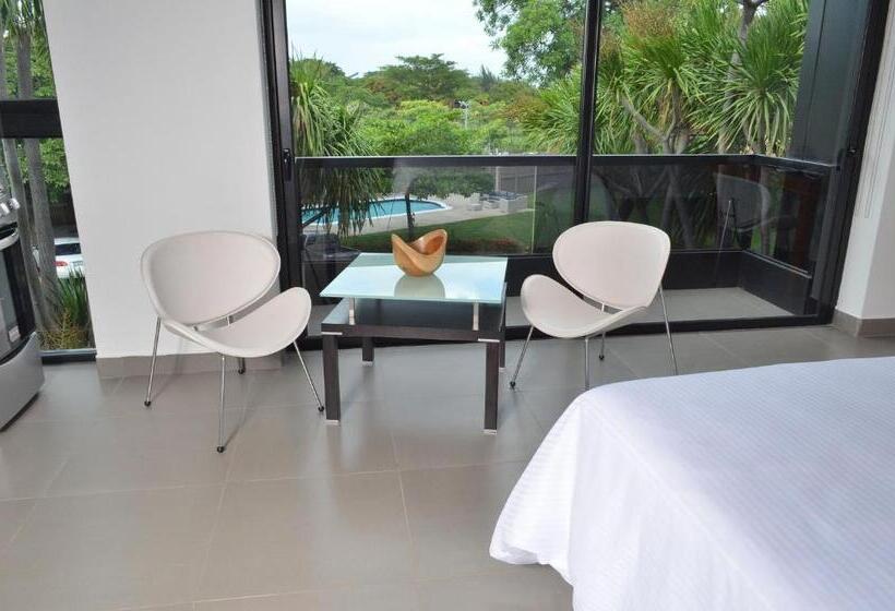 استودیوی استاندارد, 中国人之家公寓酒店apart Hotel Casa De China