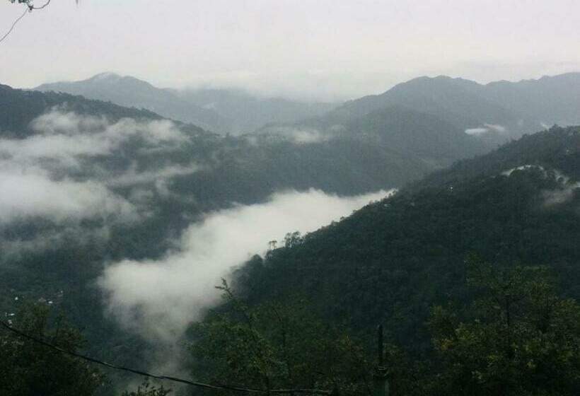 四人标准间, Vista Markés