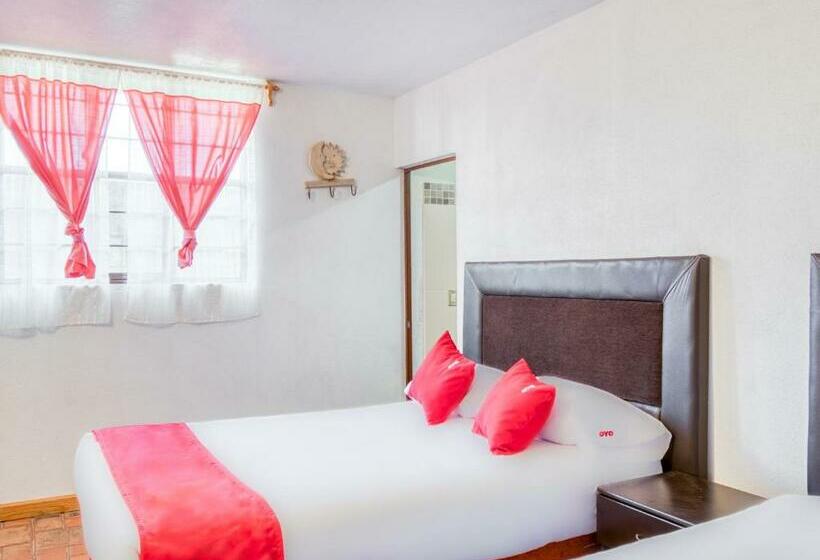 标准三人间, Vista Markés