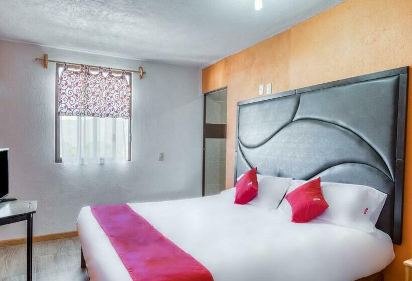 高级大房间, Vista Markés