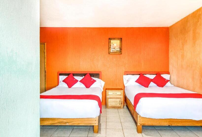 家庭间, Vista Markés