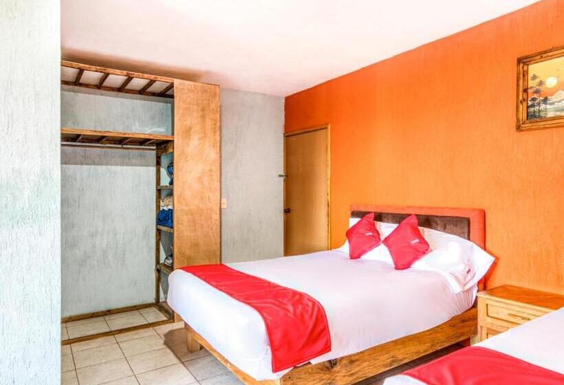 家庭间, Vista Markés