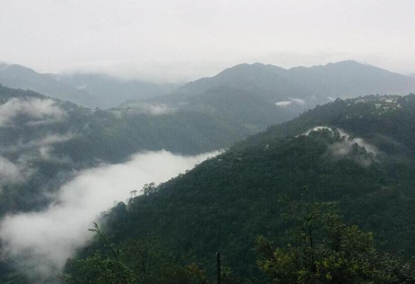 四人标准间, Vista Markés