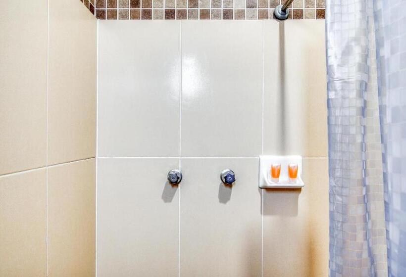 标准三人间, Vista Markés