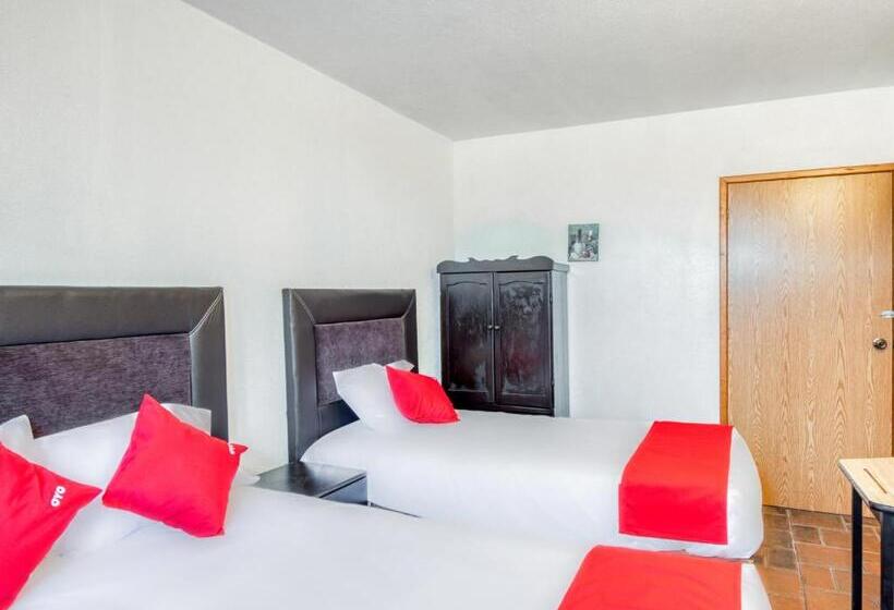 标准三人间, Vista Markés