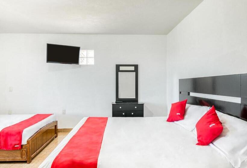 标准间, Vista Markés