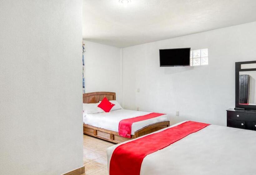 标准间, Vista Markés