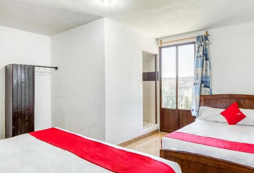 标准间, Vista Markés