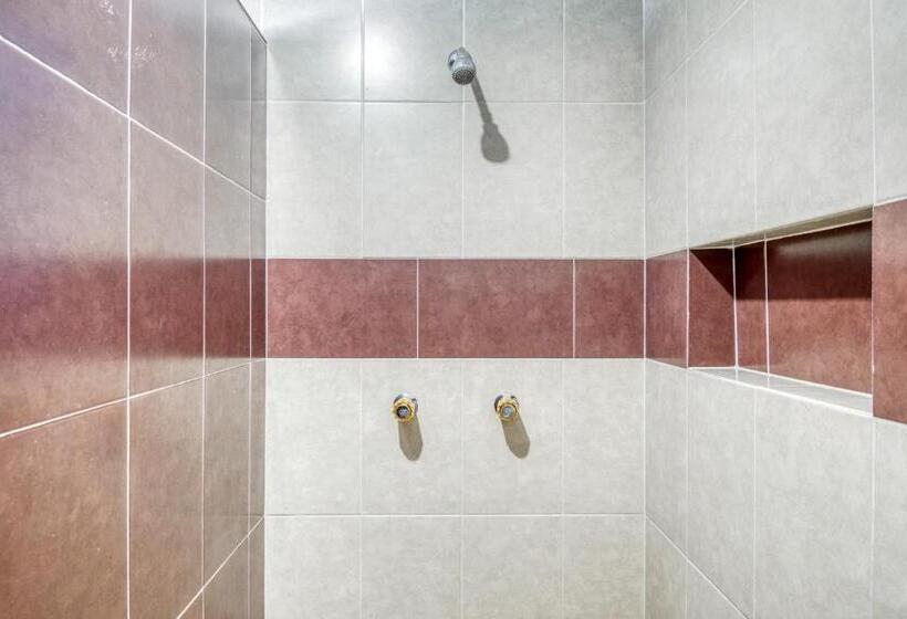 高级大房间, Vista Markés