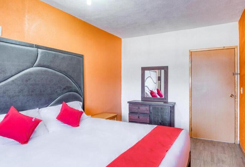 高级大房间, Vista Markés