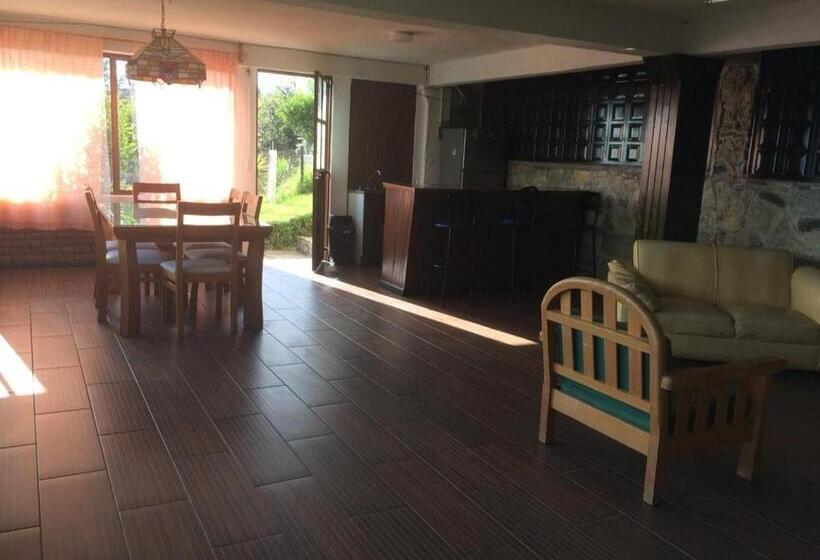 山景套房, Vista Markés